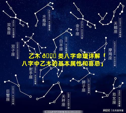 乙木 🐞 类八字命理详解「八字中乙木的基本属性和喜忌」